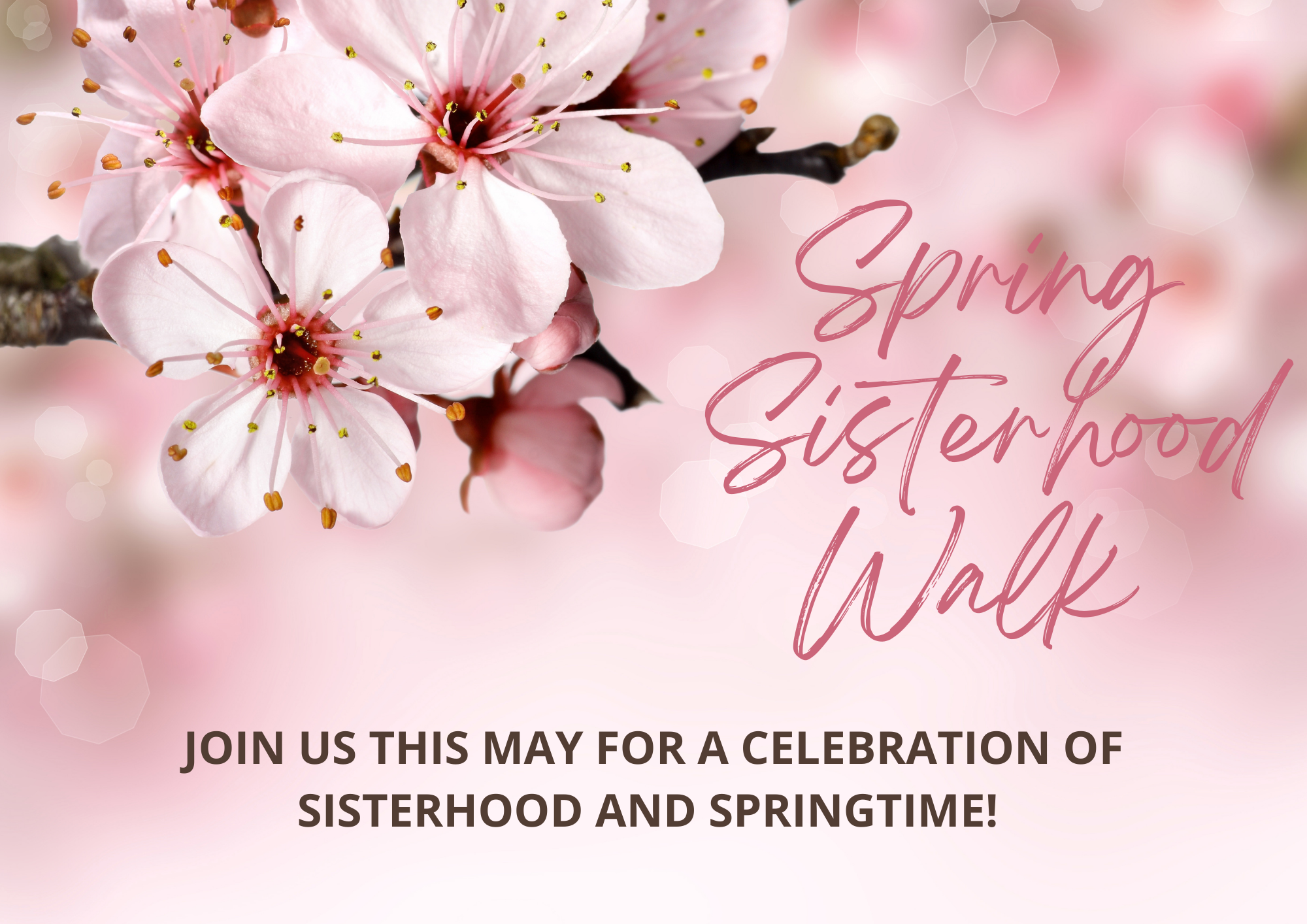 Pink background with cherry blossoms in foreground and words: Spring Sisterhood Walk Join Us This Spring for a Celebration of Sisterhood and Springtime!